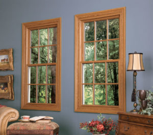 Double Hung Windows